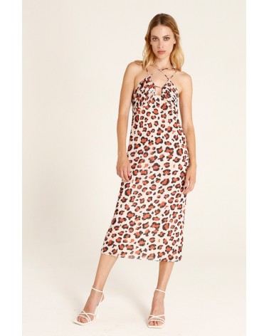 Dressed Leopard Alltigers