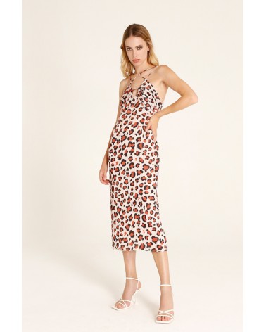Dressed Leopard Alltigers